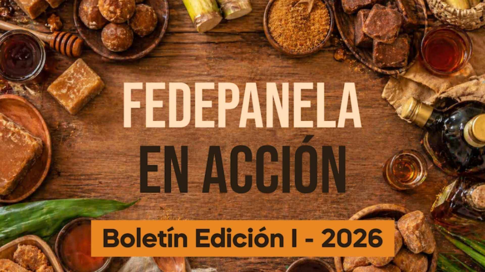 BOLETIN EDICIÓN 1 | 2026
