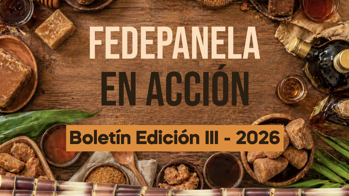 BOLETÍN EDICIÓN 3 | 2026