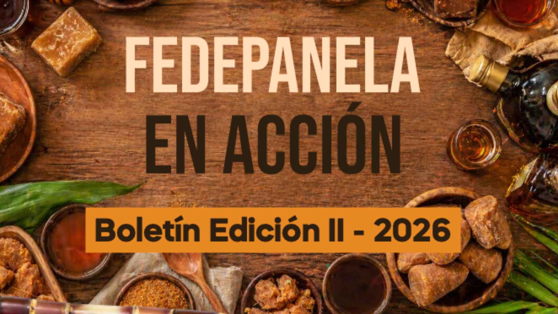 BOLETÍN EDICIÓN 2 | 2026