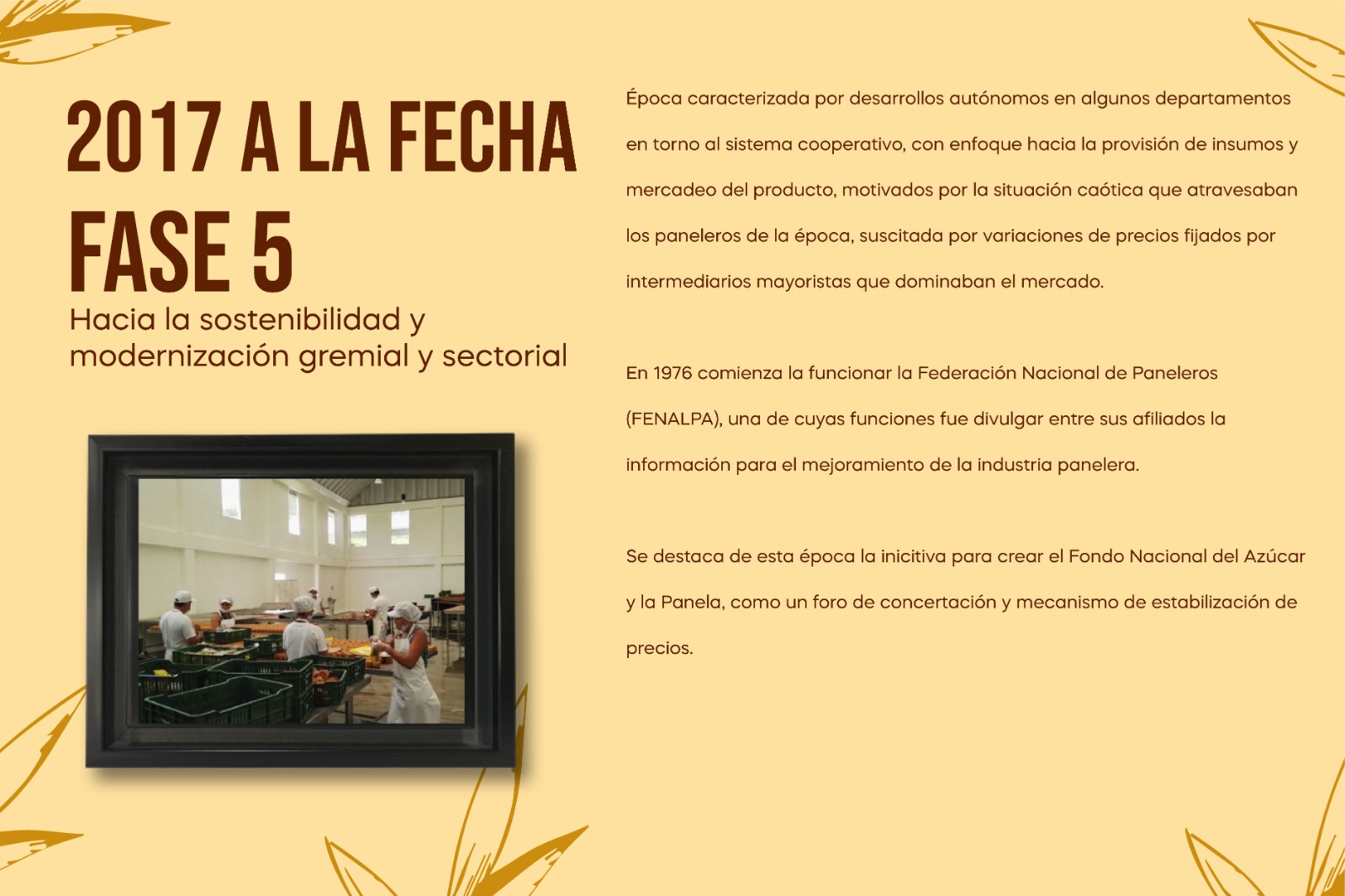 2017 a la fecha
