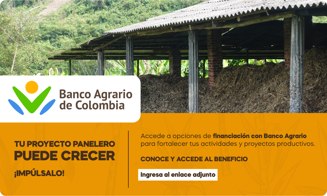 Banco Agrario